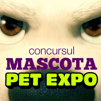 Animalutul tau de companie poate fi mascota PetExpo 2015
