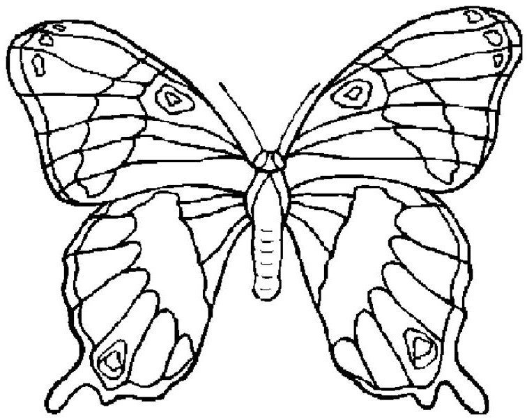 Model de fluture mare
