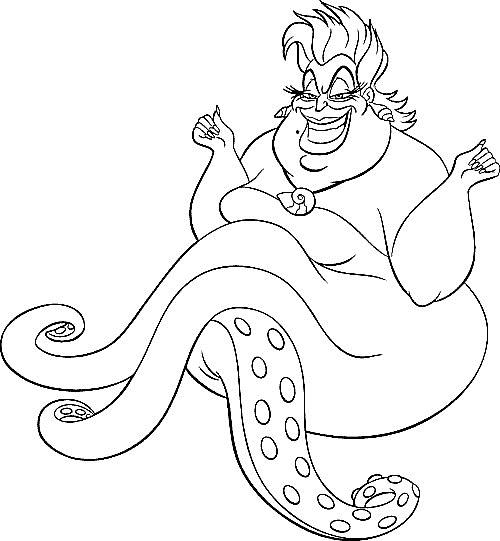 Ursula caracatita