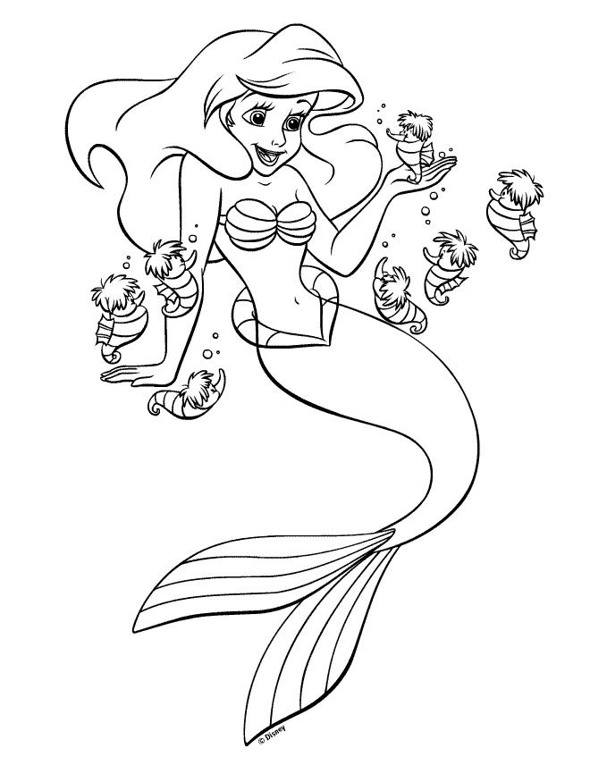 Ariel si caluti de mare