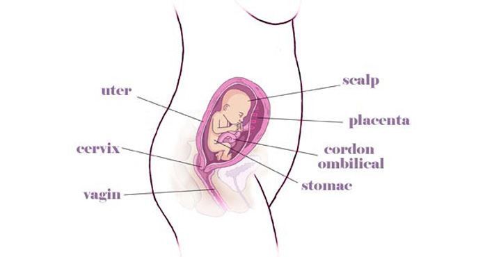 gravida in a 20-a saptamana de sarcina