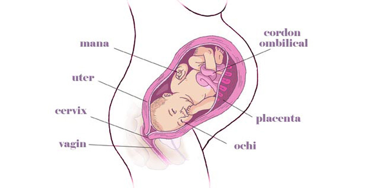 gravida Saptamana 38 sarcina