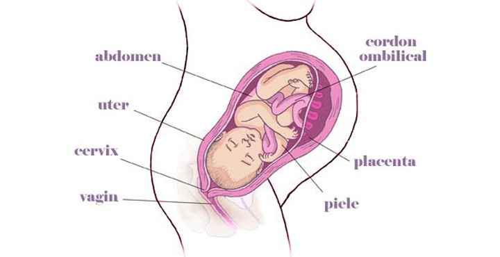 gravida Saptamana 39 de sarcina