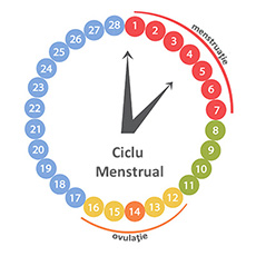 calculeaza