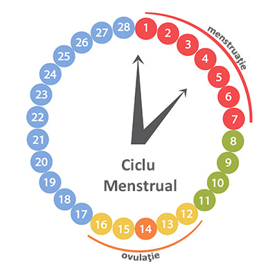 Calculator ovulatie