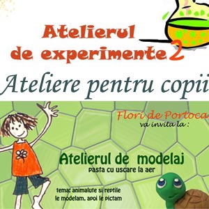 Atelier de modelaj si Atelier de experimente