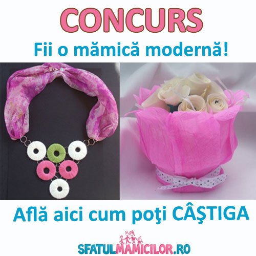 Concurs Fii o mamica moderna