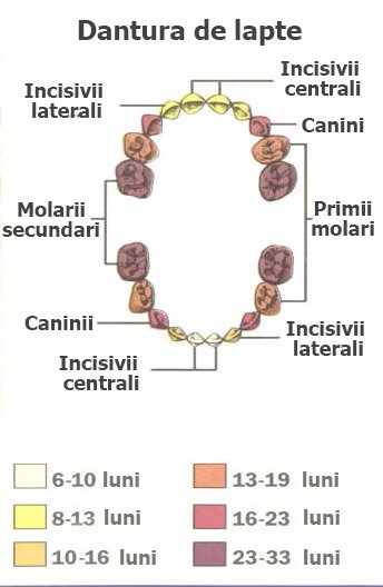 Dantura de lapte la bebelusi