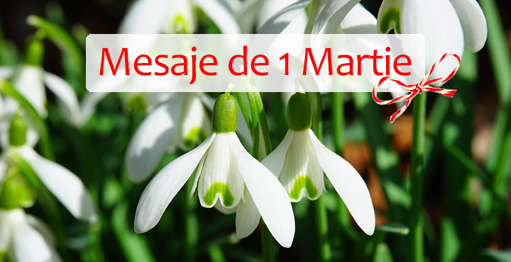 Mesaje De 1 Martie Cele Mai Frumoase Mesaje Si Urari De Martisor Sfatulmamicilor Ro