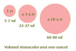 Stomacul bebelusului dupa nastere