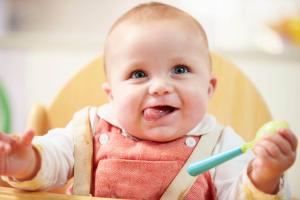 Importanța Fierului în alimentația de diversificare