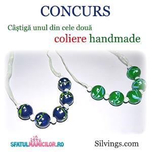 Concurs Silvings
