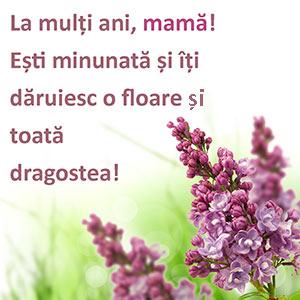 Felicitari de 8 Martie