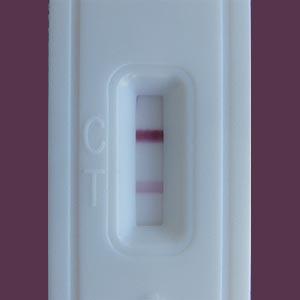 Test de sarcina