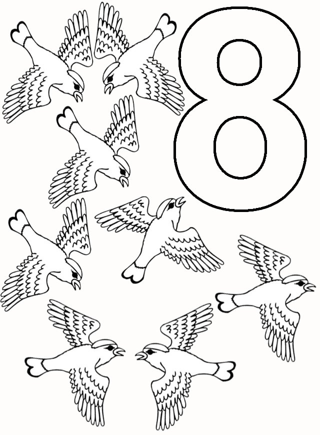 8 pasari