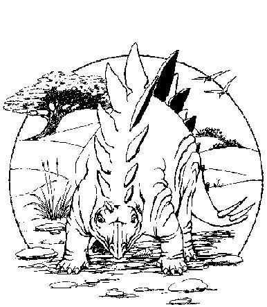 Stegosaurus