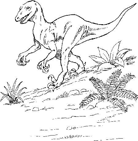 Planse de colorat cu T-Rex la atac