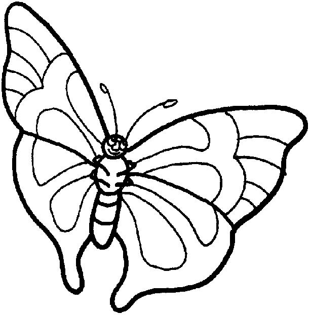 Un fluture desenat