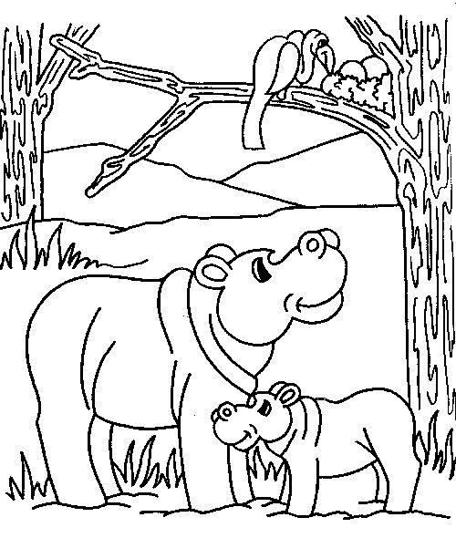 Planse de colorat cu Pui de hipopotam