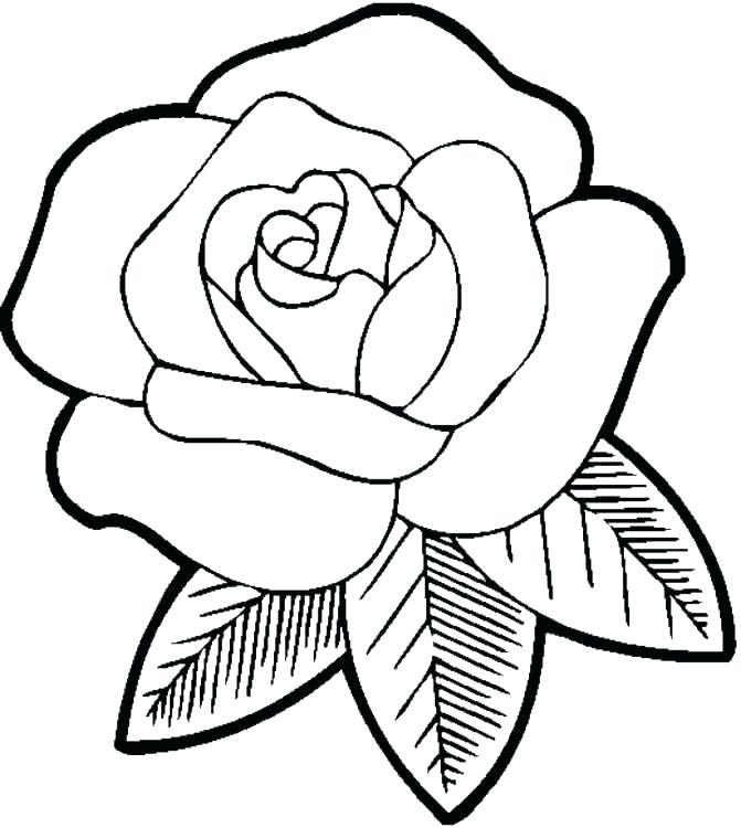 Trandafir roz - Plansa de colorat