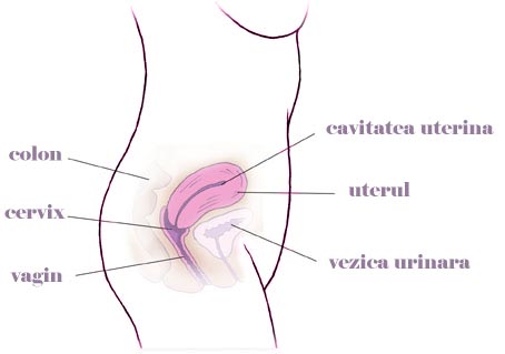 Saptamana 1 de sarcina