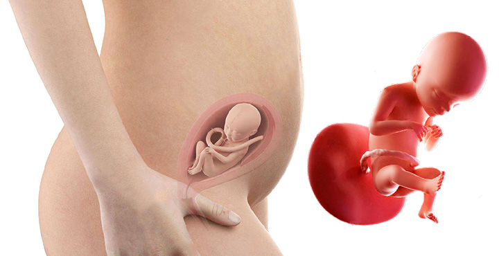Miscarile bebelusului in saptamana 37 de sarcina