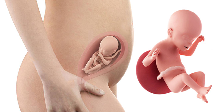 Analize medicale înaintea și în timpul sarcinii